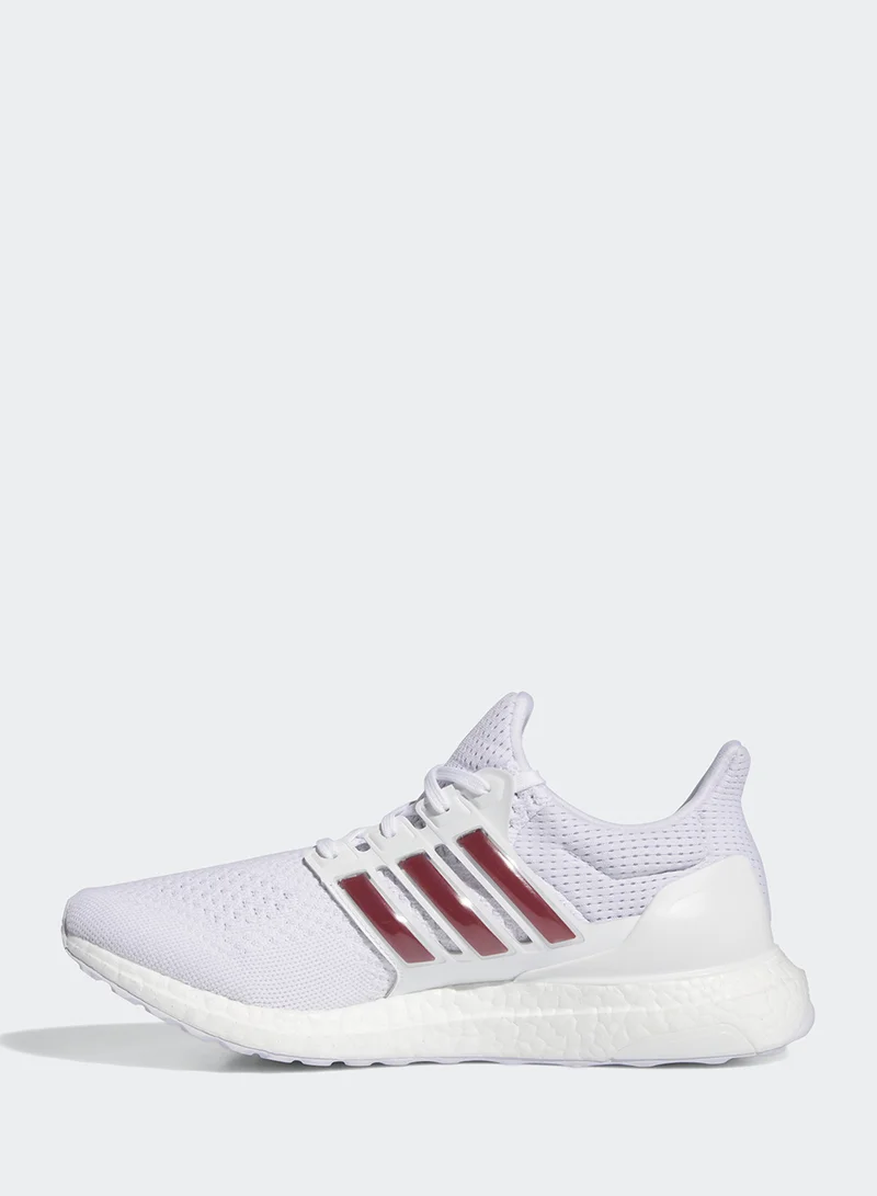 Adidas Ultraboost 1.0 Adic