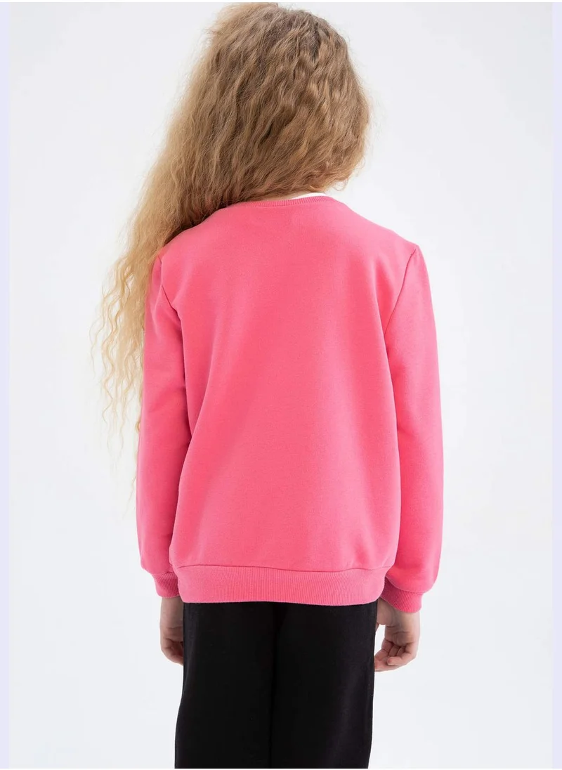 DeFacto Long Sleeve Crew Neck Sweater