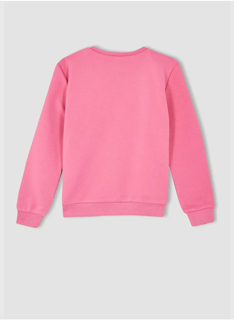 DeFacto Long Sleeve Crew Neck Sweater