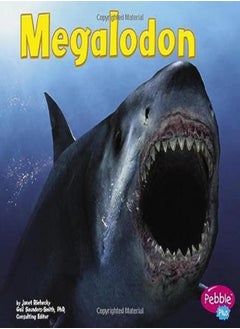 Megalodon (Dinosaurs and Prehistoric Animals)