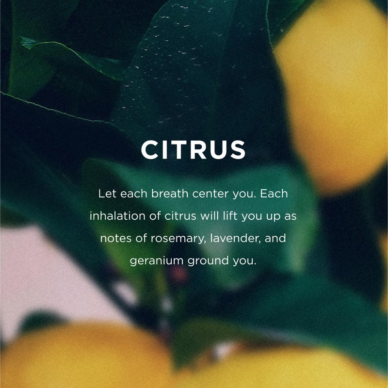 EO Organic Deodorant Spray, 4 Ounce (Pack of 3), Citrus, Organic Plant-Based, Botanical Extracts - Image 3