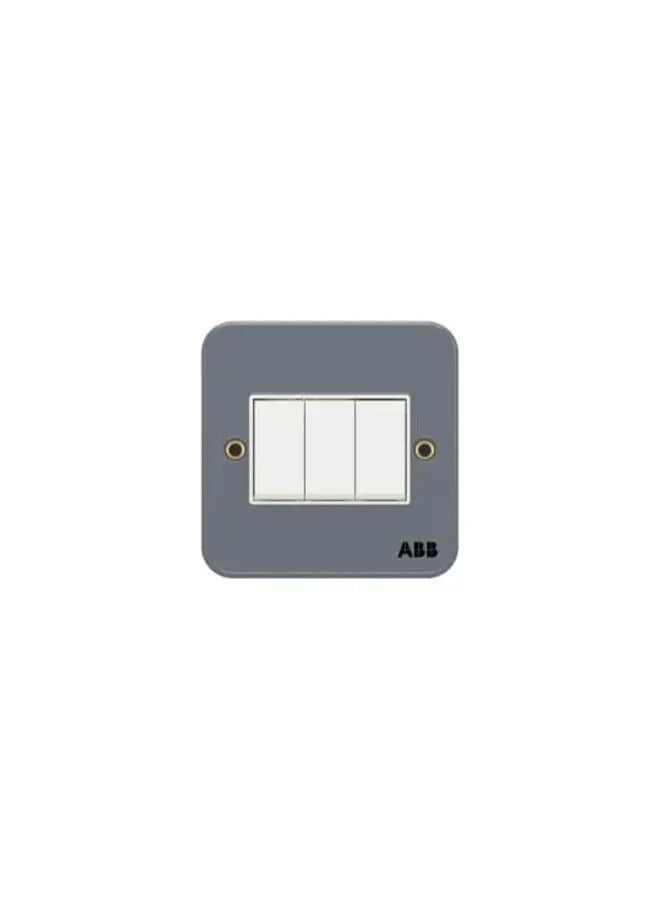 ABB BM103 3G 1W Switch, 10AX , with metal mounting box 