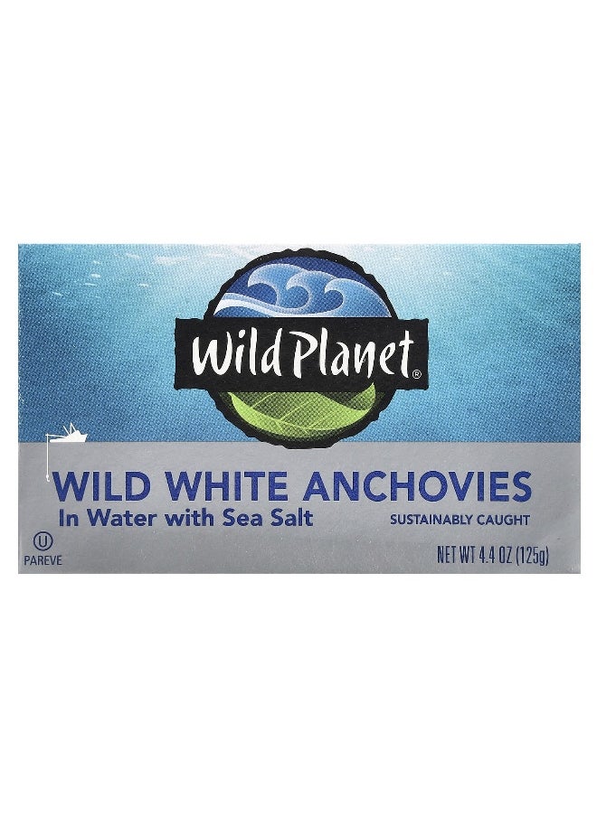Wild Planet Wild Planet, Wild White Anchovies In Water with Sea Salt, 4.4 oz (125 g)  - Image 1