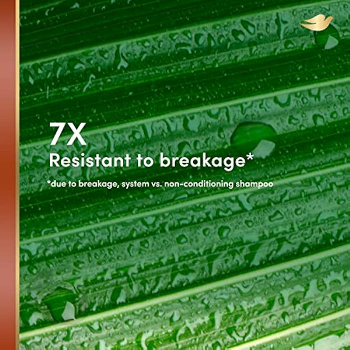 Dove RE+AL Bio-Mimetic Care Conditioner For Breakage-Prone Hair Resist Silicone-Free Conditioner With Coconut + Vegan Elastin 10oz - Image 4