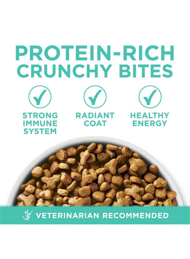 Purina ONE Purina ONE Sensitive Stomach, Sensitive Skin, Natural Dry Cat Food, +Plus Sensitive Skin and Stomach Formula - 3.5 Lb. Bag - Image 2