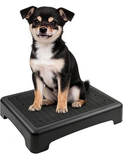 YEXEXINM Dog Training Place Board with NonSkid Surface Dog Platform for Training Portable Dog Agility Platform Dog Training Stand Dog Training Equipment Suitable for Small Dogs 17x13x314Inch - Image 1