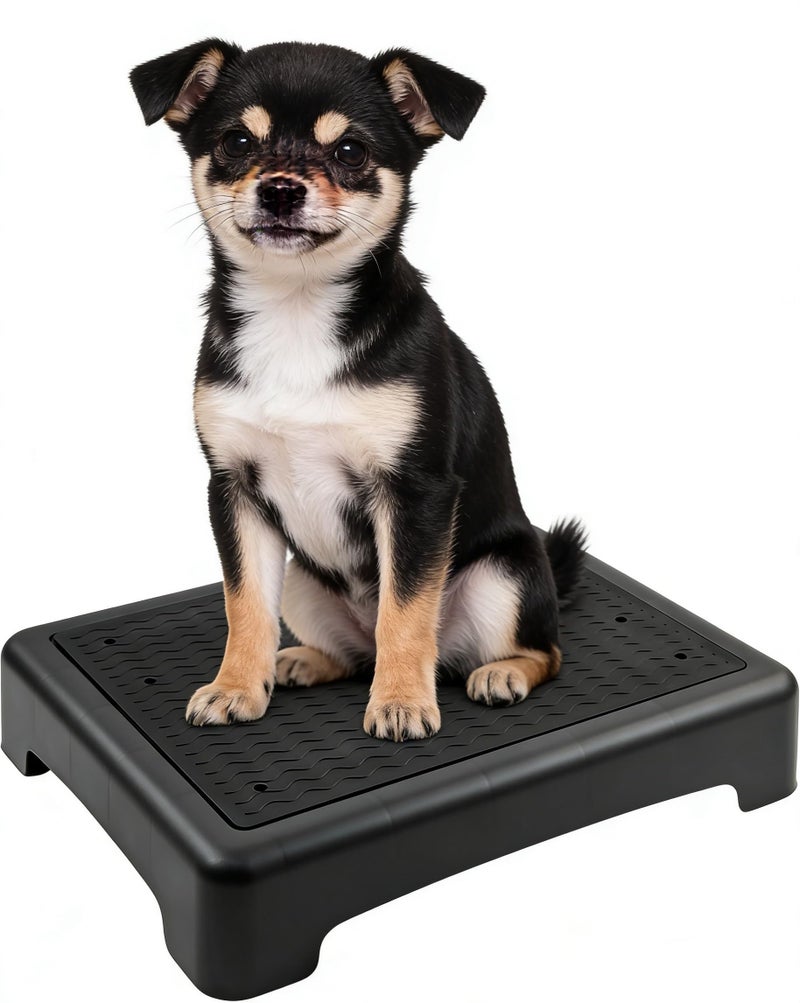 YEXEXINM Dog Training Place Board with NonSkid Surface Dog Platform for Training Portable Dog Agility Platform Dog Training Stand Dog Training Equipment Suitable for Small Dogs 17x13x314Inch - Image 2
