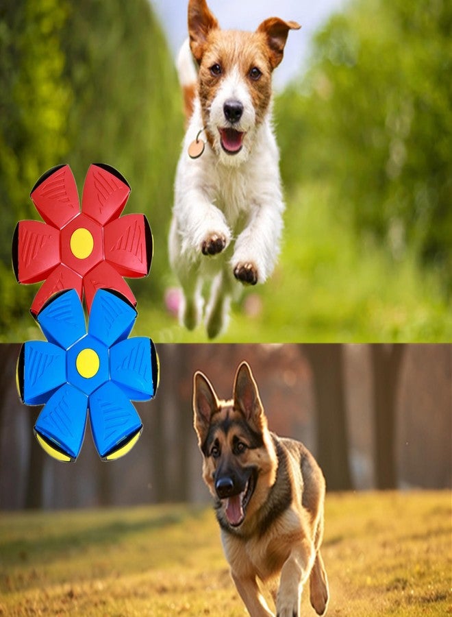 alfyng عبوة من قطعتين من كرات الصحن الطائر للكلاب من ألفينج، ألعاب أقراص طائرة للحيوانات الأليفة، لعبة تفاعلية على شكل قرص وكرة صحن للكلاب، ألعاب للكلاب متوسطة وكبيرة الحجم، مناسبة للرياضات الخارجية للأطفال والحيوانات الأليفة، لا تحتاج إلى إضاءة - Image 5