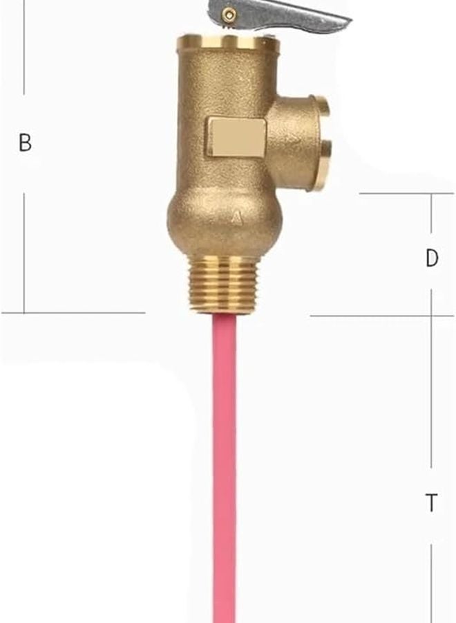 ACE391 Temperature Pressure Relief Valve Safety 99C BSP3 4 Inch DN15 1MPa - Image 5