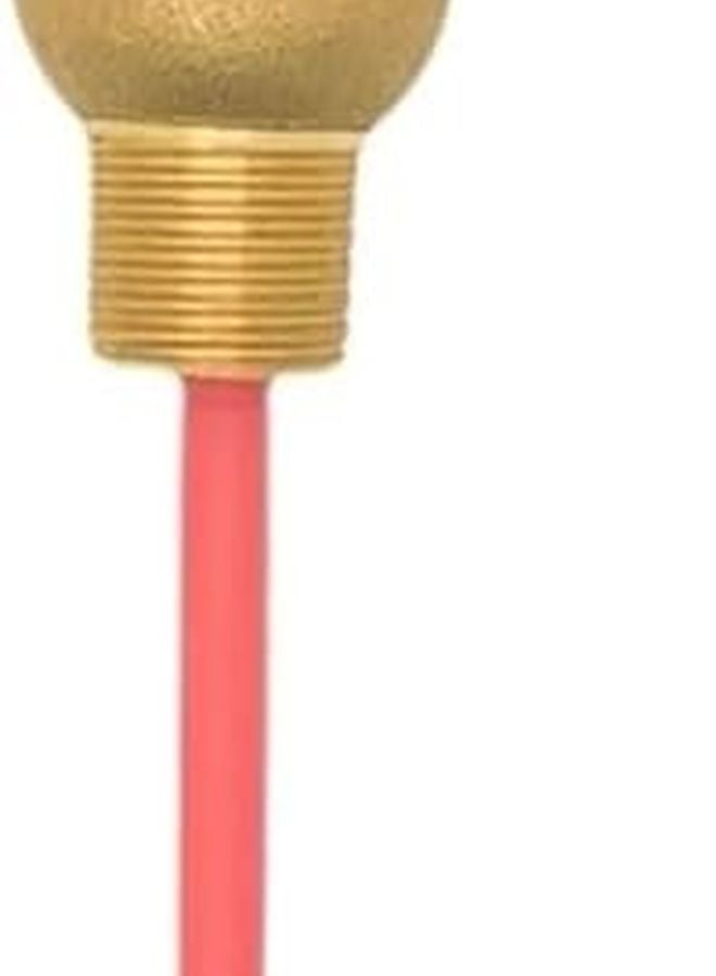 ACE391 Temperature Pressure Relief Valve Safety 99C BSP3 4 Inch DN15 1MPa - Image 1