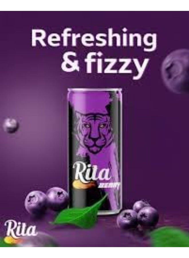 ريتا مشروب ريتا بيري فوار | مشروب غازي بنكهة التوت | مذاق فاكهي منعش وفوّار | مثالي للوجبات والمناسبات - Image 4