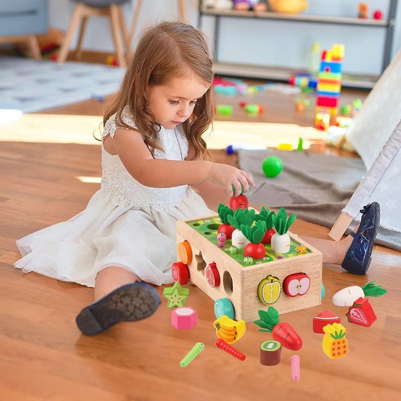 KMTJT Toddlers Montessori Wooden Educational Toys for Baby Boys Girls Age 1 2 3 Year Old, Shape Sorting Toys 1st One First Birthday Girl Gifts for Kids 1-3, Wood Preschool Learning Fine Motor Skills Game - Image 5