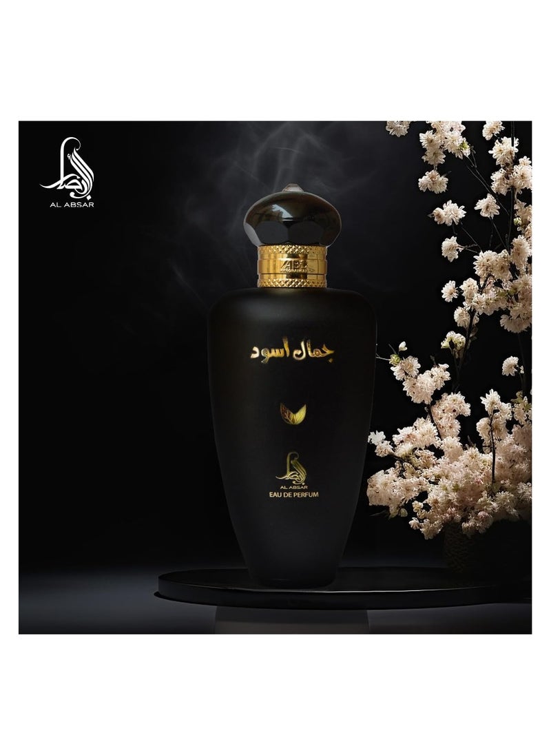 Al Absar Jamal Aswad  Perfume 100ML   EDP  For Him - pzsku/Z28275E0E0543526715A8Z/45/_/1737700064/64482c94-7709-4ba7-8314-874ecee7d899