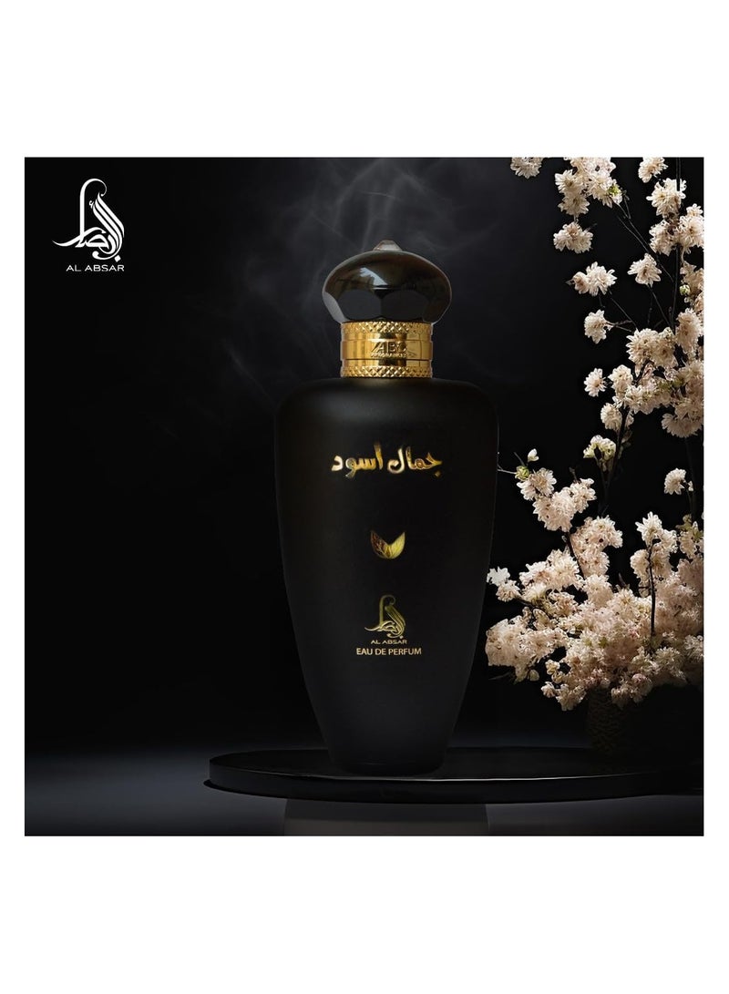 Al Absar Jamal Aswad  Perfume 100ML   EDP  For Him - Image 3