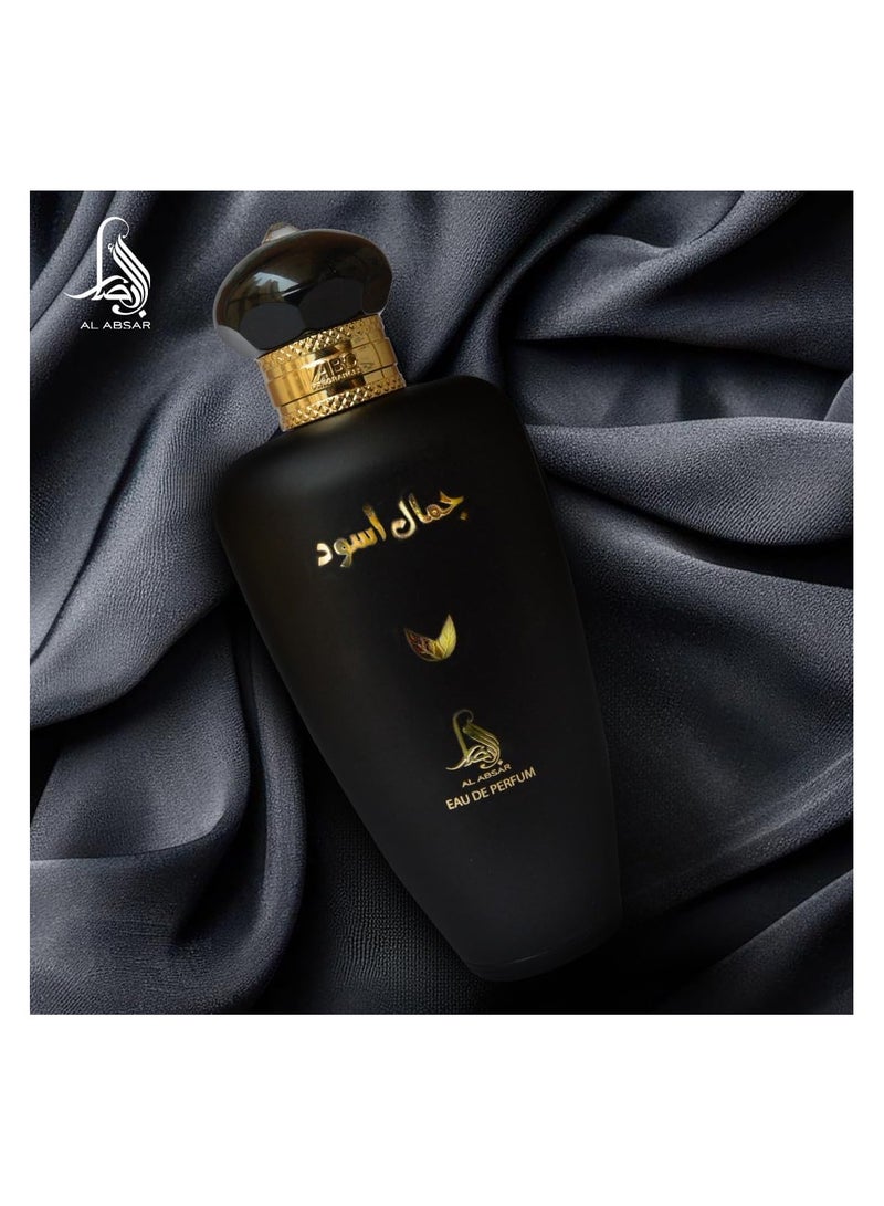 Al Absar Jamal Aswad  Perfume 100ML   EDP  For Him - Image 5