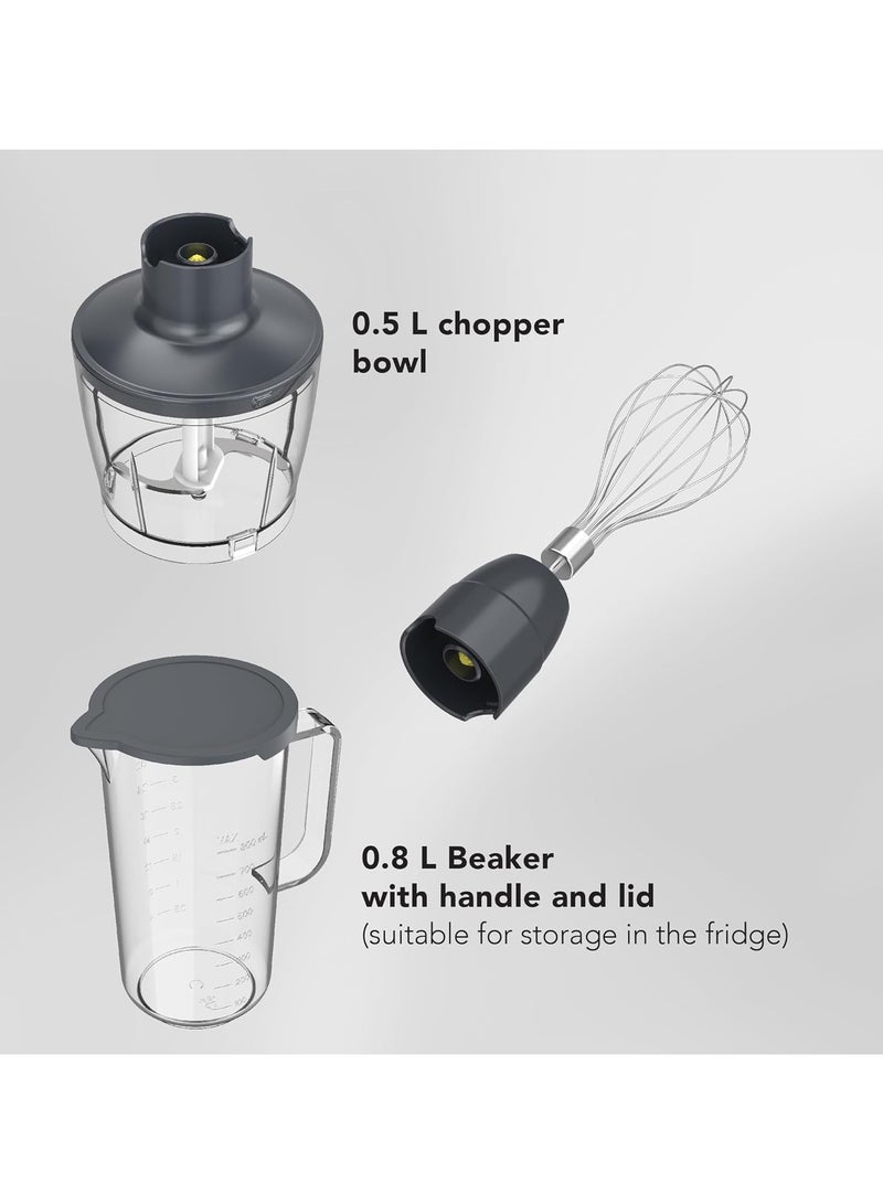 CARRERA 1000W Stick Blender, 4-in-1 Hand Blender & Grinder – Stainless Steel, Full Copper DC Motor, Turbo, LED Display, For Soups, Smoothies, Chutneys, Baby Food – CRR453, 2-Year Warranty