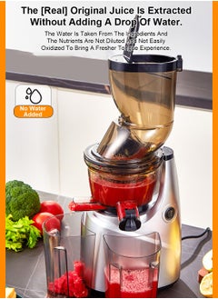 ET-LIFE Slow Masticating Juicer, Slow juicer, Fruit/Vegetable Juicer, Cold Press Juicer with High Output  - Image 4