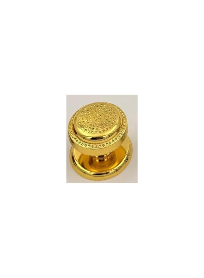 Gold exterior apartment door handle