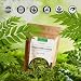 Heawans Premium Air Dried Curry Leaves 05oz 15g 100 Natural Whole Kadi Patta Each Leaf Carefully Handpicked NonBroken Aromatic - Image 4