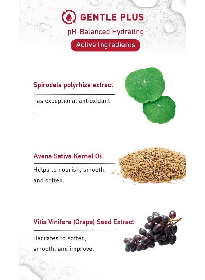 MENORAH مينورا للعناية بالبشرة - كريم مرطب بالحليب - بالليمنا والشوفان، لوشن للوجه، خفيف الوزن للغاية، للبالغين، كريم مرطب للوجه، تفتيح طبيعي للبشرة، روتين تجميل يومي - Image 5