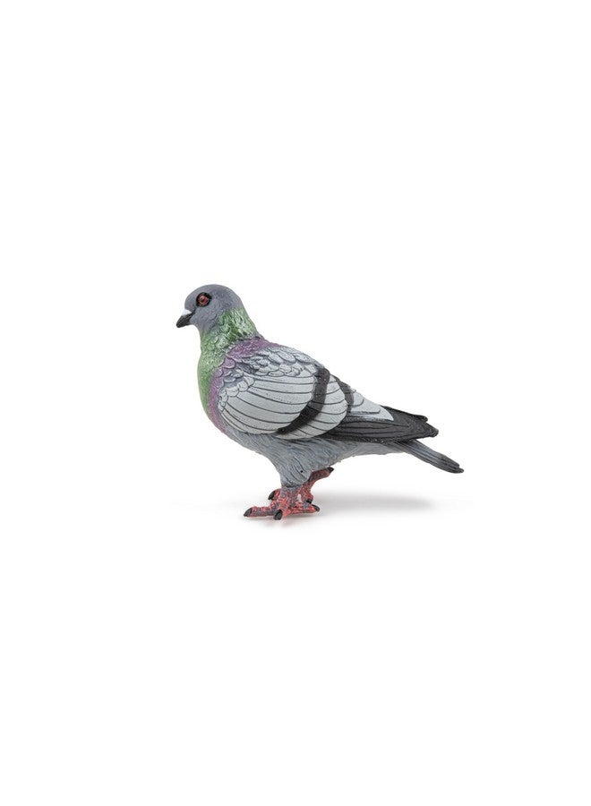 Papo - Hand-Painted - Figurine - Piegon - 50295 - Wildlife - Garden Animals - Collectible - for Children - Suitable for Boys and Girls- from 3 Years Old - Image 1