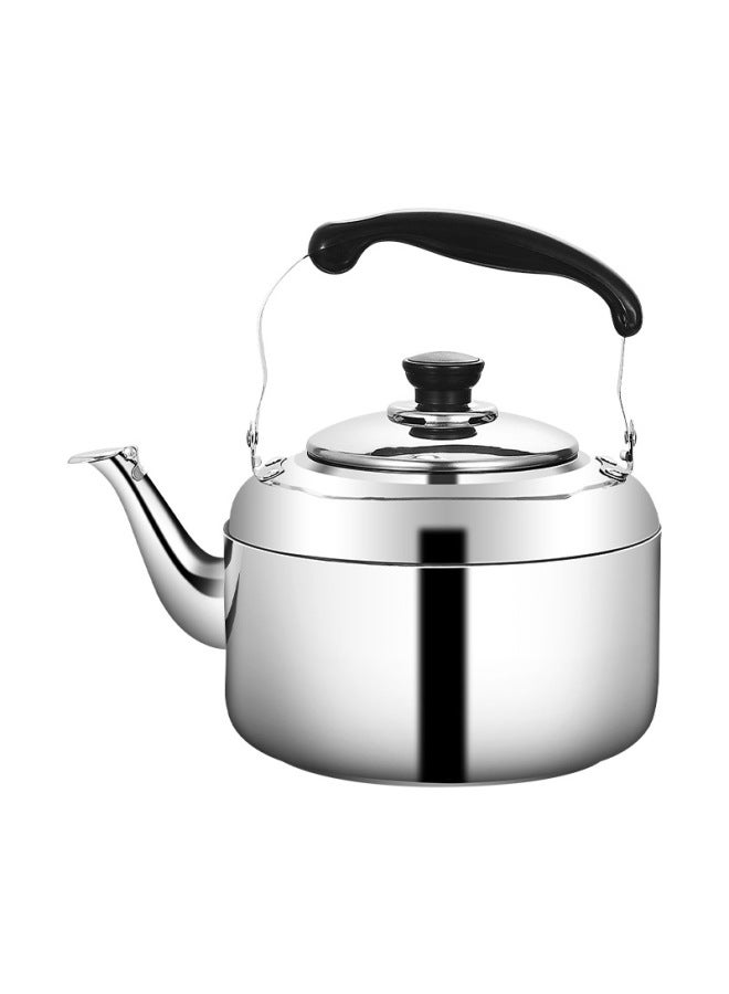 Stainless Steel Boasting Water Sound Kettle Large Capacity Teapot Household Special Thick Medium Package Kettle Induction Cooker Gas Universal Kettle-Capacity:7L Sound Pot (with Magnetic)  - Image 1
