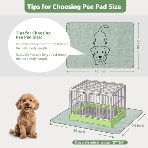 LOOBANI Washable Pee Pads for Dogs 2 Pack Super Absorbent Reusable Puppy Pads Leakproof and Waterproof Dog Training Pads Whelping Pads for Potty Floor Crate Couch Bed and Travel 36x24 - Image 3