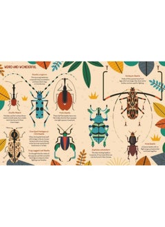 Bonkers About Beetles  - Image 4