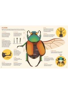 Bonkers About Beetles  - Image 2
