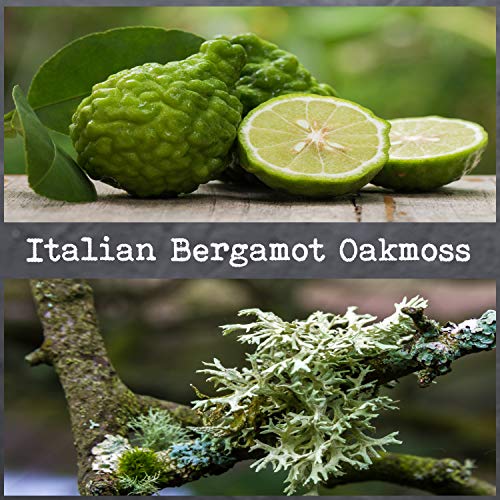 CoCo Benjamin 100% Soy, Highly Scented, Hand Poured Soy Candle (Italian Bergamot Oakmoss) - Image 3