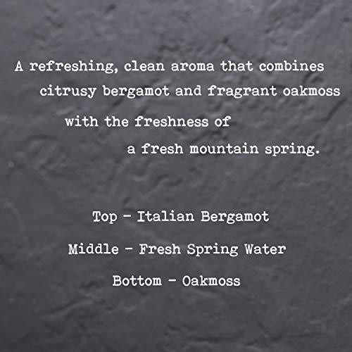 CoCo Benjamin 100% Soy, Highly Scented, Hand Poured Soy Candle (Italian Bergamot Oakmoss) - Image 4