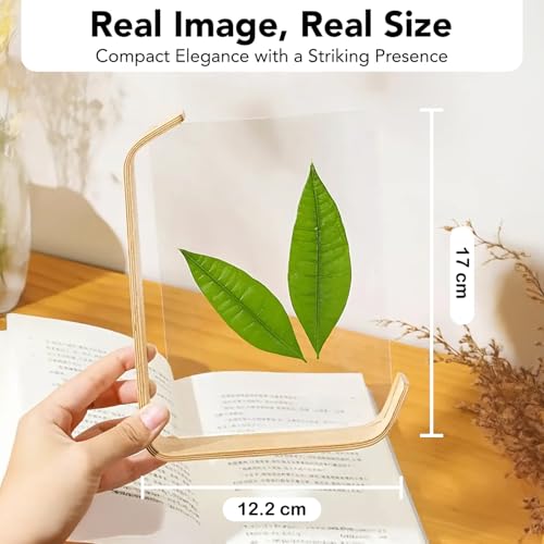 Ekhasa Nostrae by Ekhasa Wooden Photo Frame for Table | 4x6 Inch Acrylic Table Top Photo Frame with Stand | Double-Sided Picture Frame for Desk, Bedroom & Office Décor | Small Aesthetic Photo Frame for Gift - Image 3