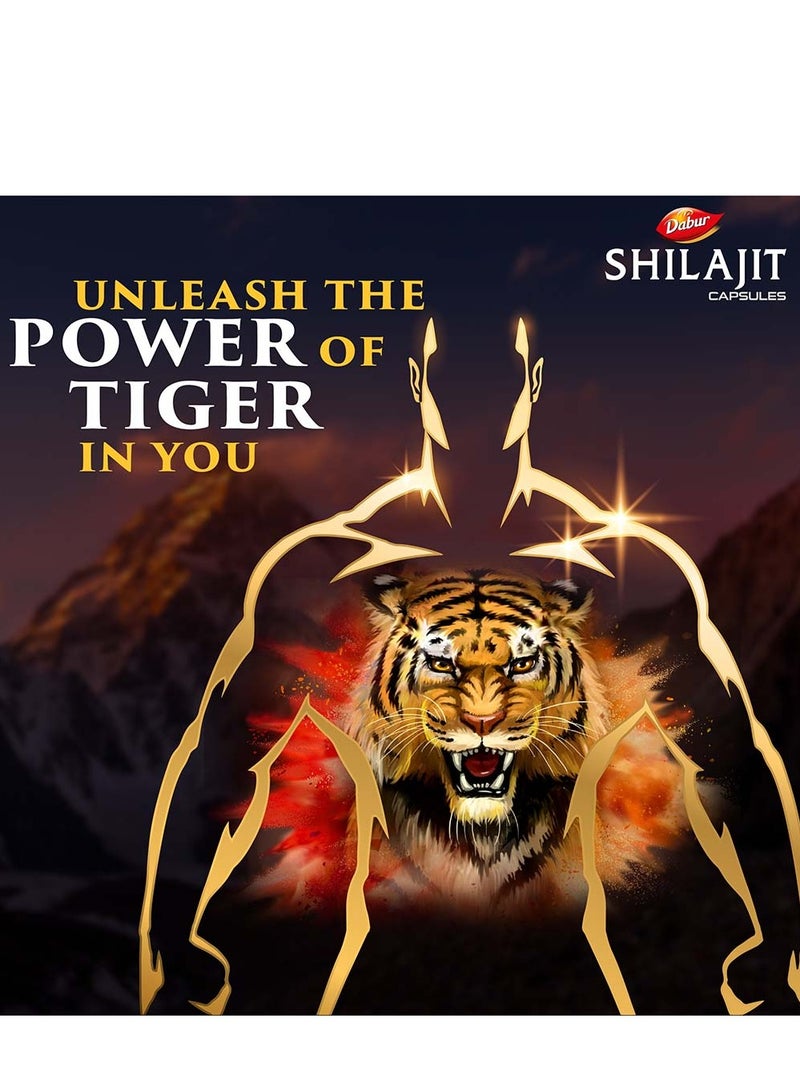 Dabur كبسولات شيلجيت من أجل الحيوية والصحة، عبوة من 30 كبسولة - Image 2