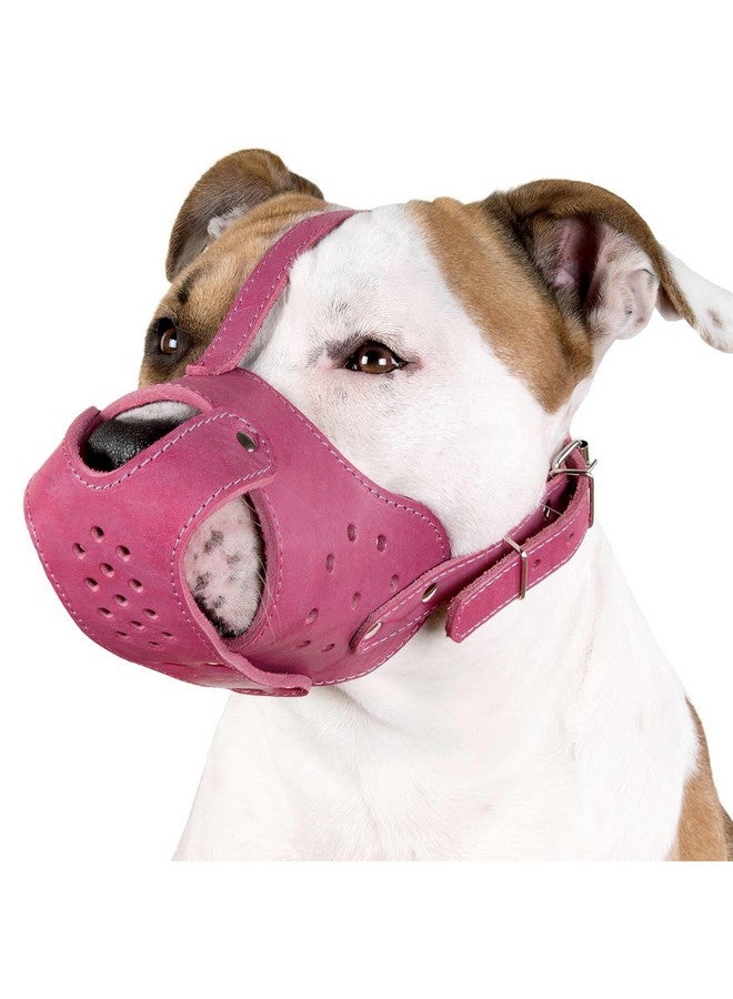 CollarDirect Dog Muzzle Pitbull Amstaff Basket Genuine Leather Staffordshire Terrier (Pink) - Image 1