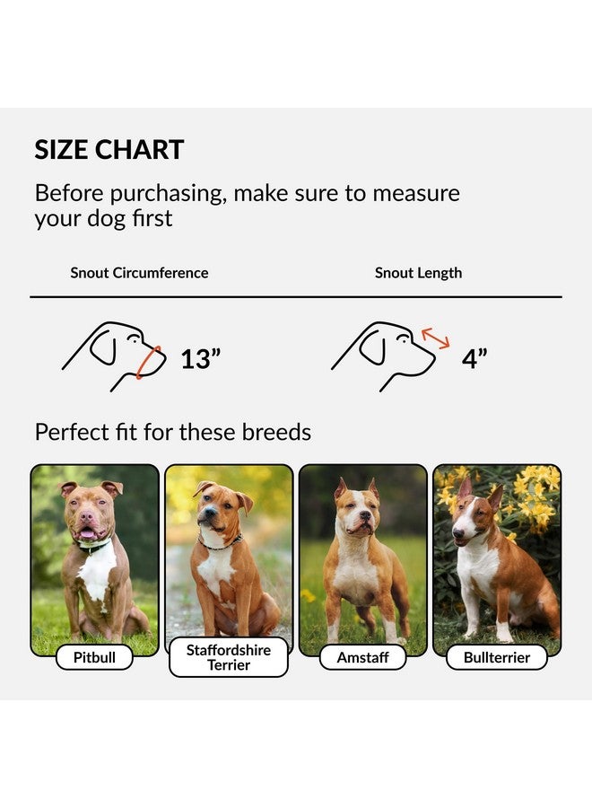 CollarDirect Dog Muzzle Pitbull Amstaff Basket Genuine Leather Staffordshire Terrier (Pink) - Image 2