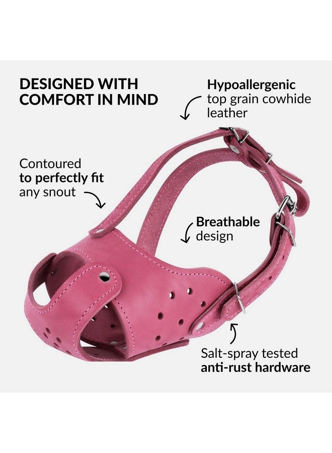 CollarDirect Dog Muzzle Pitbull Amstaff Basket Genuine Leather Staffordshire Terrier (Pink) - Image 3