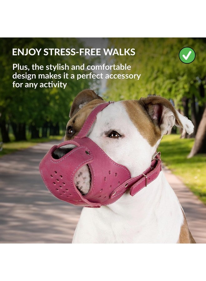 CollarDirect Dog Muzzle Pitbull Amstaff Basket Genuine Leather Staffordshire Terrier (Pink) - Image 5