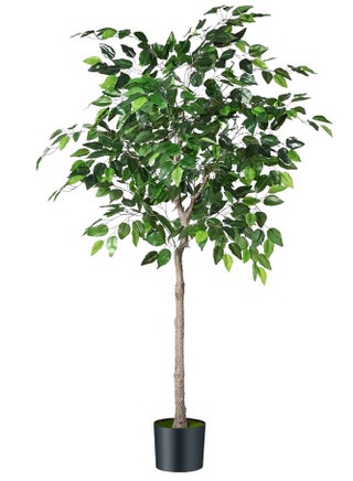 180 CM Artificial Ficus Plant Ficus Tree Fake Plant with Plastic Pot & Moss Grass for Home Garden Decoration – Fake Tree – Artificial Plants (Green) - pzsku/Z283990B37FCA2D4BD263Z/45/1748413199/73fdc191-f912-47d1-a6c6-bbda5b92cebc
