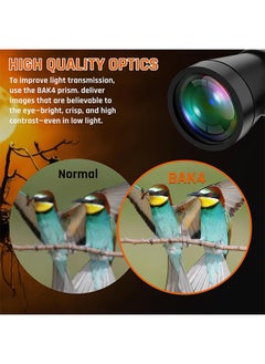 Arabest 20x50 Binoculars,Clear Shimmering Field of View,Large Eyepiece Waterproof Binoculars,High Power Easy Focus Binoculars,Suitable for Bird Watching/Outdoor Travel Sightseeing  - Image 2