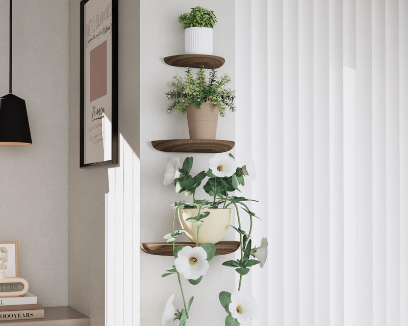 QsQueen Solid Wood Half Round Floating Wall Shelves | Elegant Floating Shelves, Elevate Your Space. Perfect for Living Rooms, Bathrooms, Bedrooms, Offices, Children's Rooms Brown - Image 2