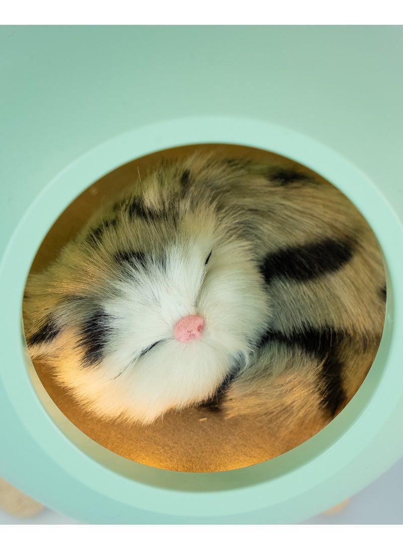 Creative little pet house atmosphere table lamp warm cute cat USB charging night light home decor kids bedside sleep light-Green  - Image 3