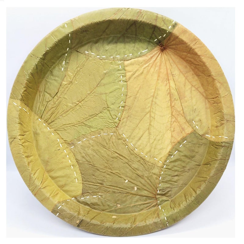 SENO Original Moduga Leaf Plate | Palash Meal Plate | Pattal Vistarakulu | Vistar |Dhakh Patti Plate| Patti Pattal | Natural Leaf Patri | 100% Recycle | Desi Patri | Size 12Inc (40 Plates) - Image 1