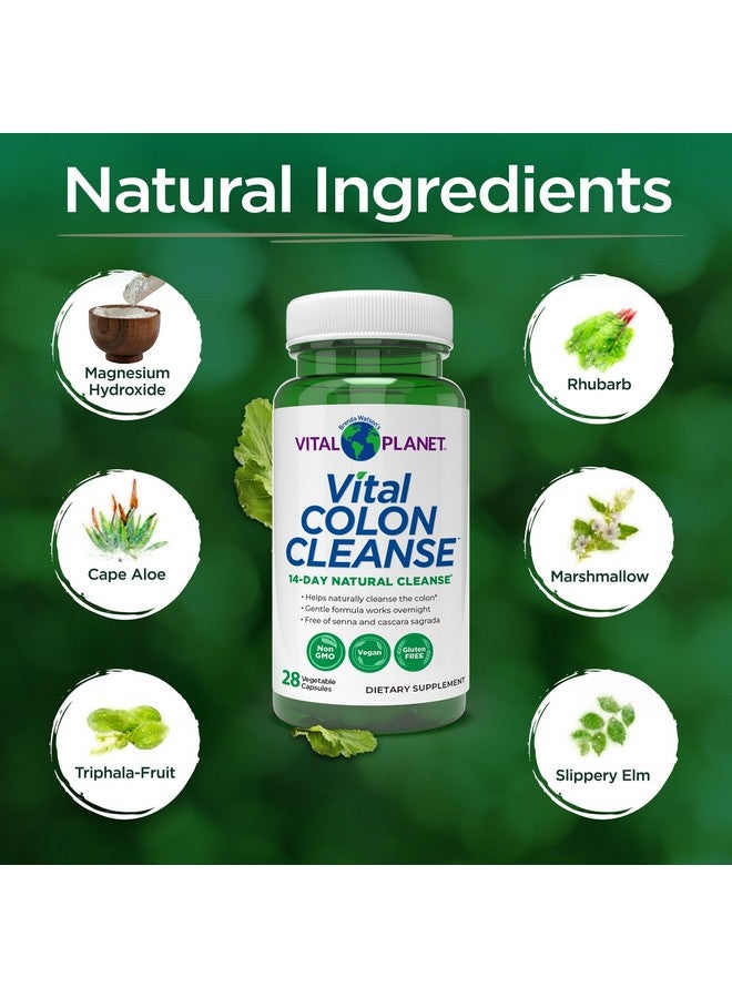 Vital Planet Vital Planet - Vital Colon Cleanse 14-Day Colon Cleanser and Detox with Magnesium Hydroxide, Slippery Elm, and Aloe for Digestive Health Support, Occasional Constipation, and Bloating 28 Capsules - Image 3