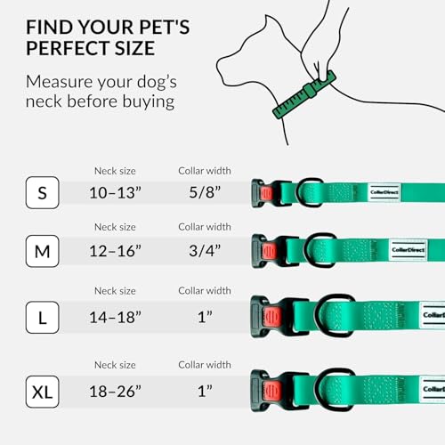 CollarDirect Waterproof Dog Collar - Silicone, Plastic Collar, Odor-Resistant, Easy to Clean, for Large, Medium, Small Dogs - Adjustable Collar with Breakaway Buckle (Neck Fit 12"-16", Mint Green) - Image 5
