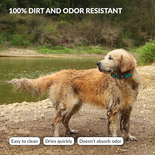 CollarDirect Waterproof Dog Collar - Silicone, Plastic Collar, Odor-Resistant, Easy to Clean, for Large, Medium, Small Dogs - Adjustable Collar with Breakaway Buckle (Neck Fit 12"-16", Mint Green) - Image 3