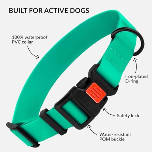 CollarDirect Waterproof Dog Collar - Silicone, Plastic Collar, Odor-Resistant, Easy to Clean, for Large, Medium, Small Dogs - Adjustable Collar with Breakaway Buckle (Neck Fit 12"-16", Mint Green) - Image 2