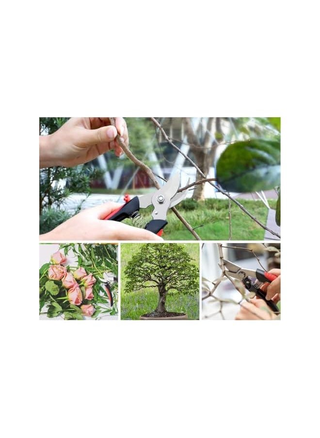 PROMASS - Garden Scissors Stainless Steel Pruning Shears, Premium Heavy Duty Ultra Sharp Multi-purpose, Hand Pruning Scissors, Snip Leaf Trimmer, Branch Clippers, with Handle for Garden - Black & Red - Image 1
