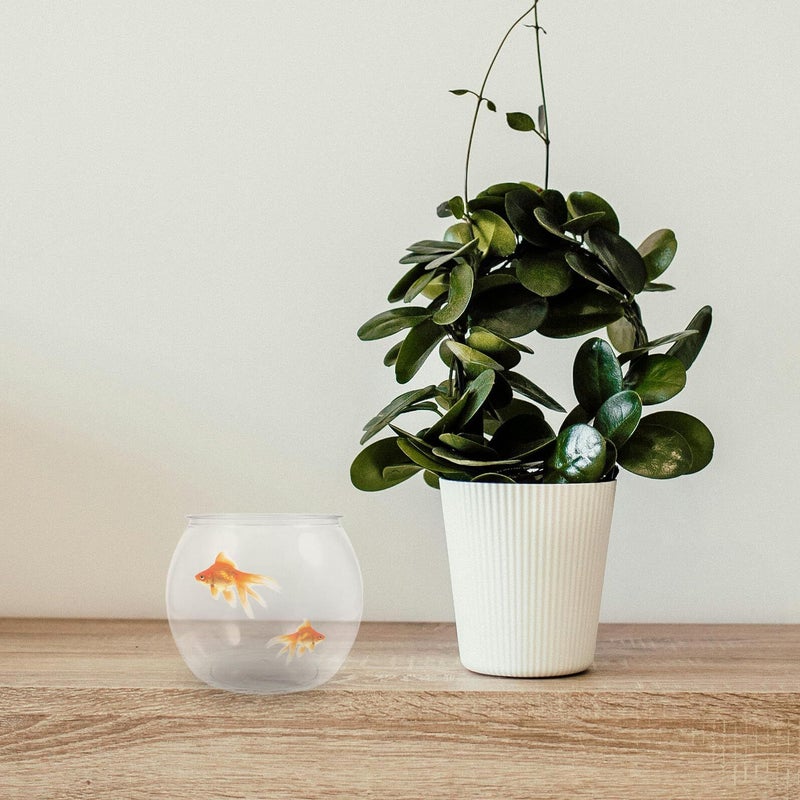 Small Desktop Plastic Fish Bowl Aquarium With Tank Transparent For Office Decor Home Use - Image 5