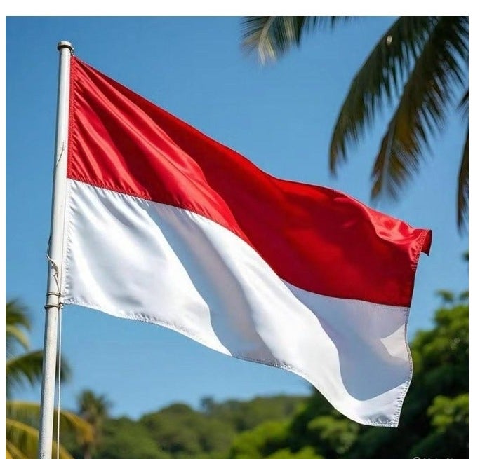 ARS Indonesia Flag - Heavy-Duty 210D Satin, Indonesia Flag for Outdoor/Indoor, Fade Resistant, Flag Day, And Home-Polyester, Sport Day, FIFA World Cup-Size Available - Image 1