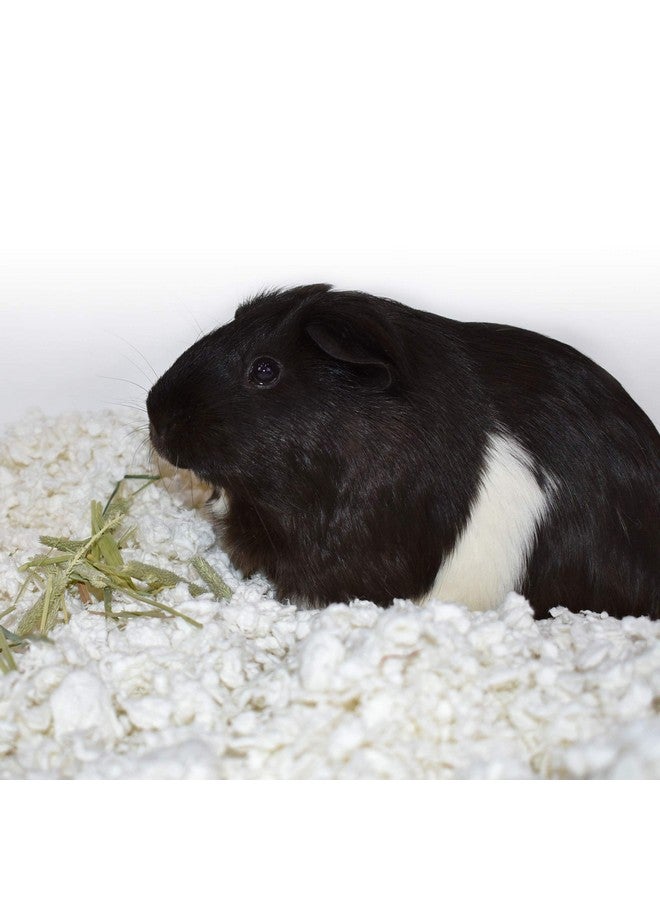 carefresh® White Nesting Small pet Bedding, 23L (Pack May Vary), White Nesting, 23L, 23 L - Image 3